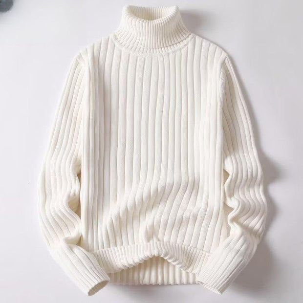 Herren-Rippstrick-Rollkragenpullover - Darel