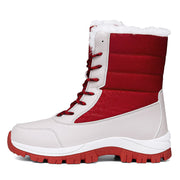 Rot